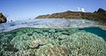 When Corals Met Algae: Symbiotic Relationship Crucial to Reef Survival Dates to the Triassic